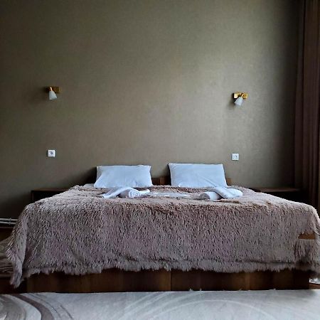 Kazbegi Guest House Екстериор снимка